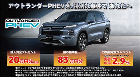 クリーンエネルギー購入資金83万円