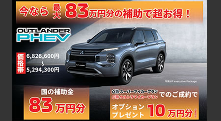 クリーンエネルギー購入資金83万円